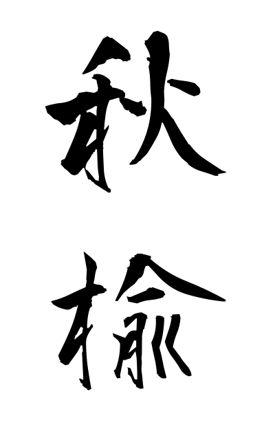 a10574秋楡あきにれ Ulmus parvifolia