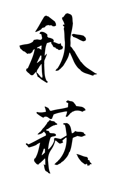 a10577秋萩あきはぎ Autumn bush clover