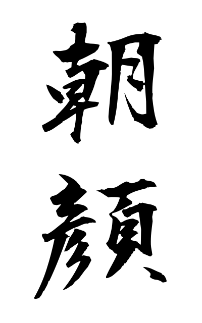 a10655朝顔あさがお Morning glory