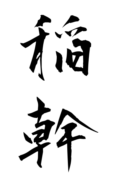 a21039稲幹いながら Rice plant before thresh