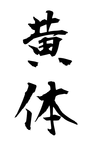 a50380黄体おうたい Corpus luteum