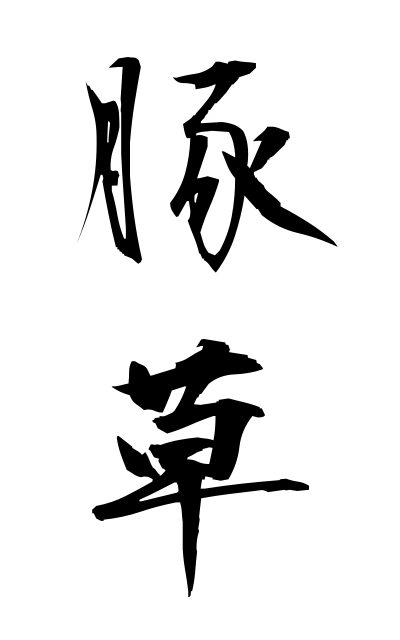 b30156豚草ぶたくさ Ragweed