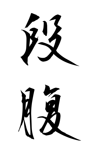 d10428段腹だんばら Step stomach