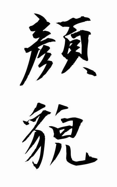 g10223顔貌がんぼう Countenance