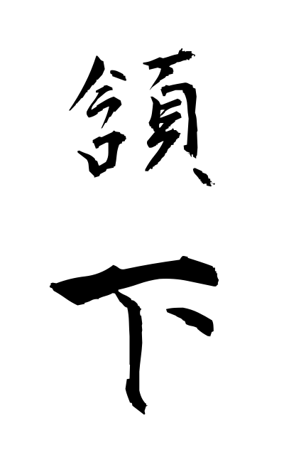 g10554頷下がんか Chin bottom