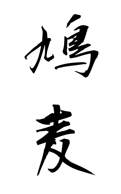 h10998鳩麦はとむぎ Tear grass