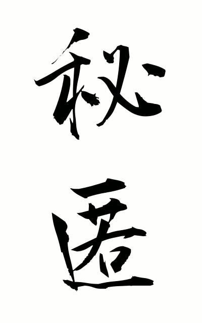 h20103秘匿ひとく Concealment