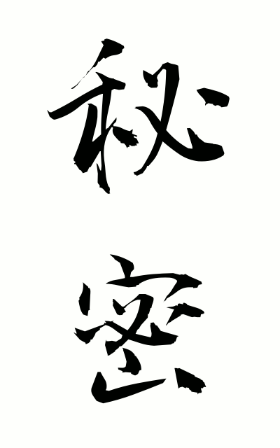 h20167秘密ひみつ Secret