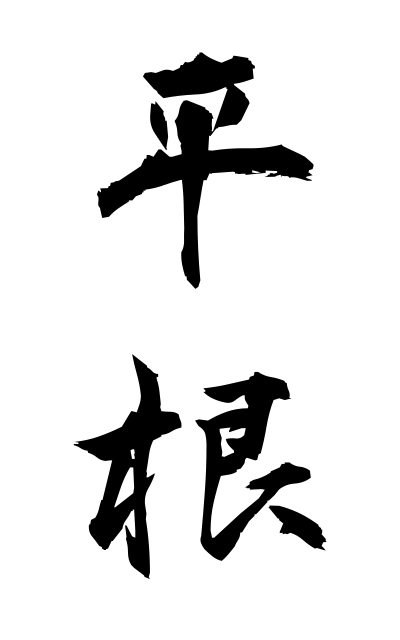 h20862平根ひらね Flat root