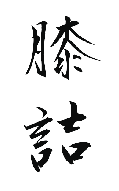 h20962膝詰ひざづめ knee jam