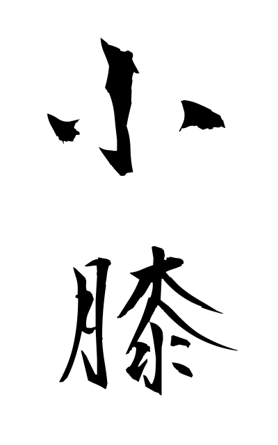 k52129小膝こひざ Knee