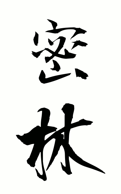 m20087密林みつりん Dense forest