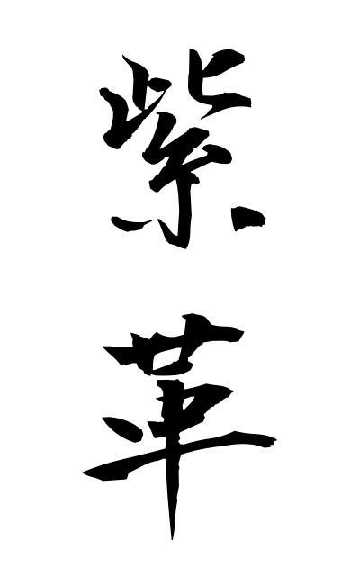 m30259紫革むらさきがわ Purple leather