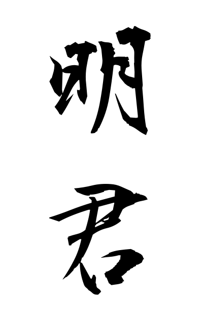 m40160明君めいくん Akira