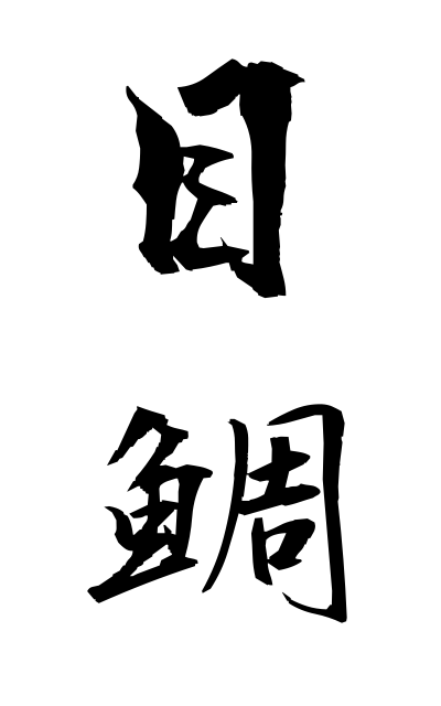 m40288目鯛めだい Eyes sea bream