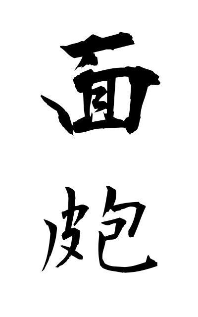 n20199面皰にきび Pimple
