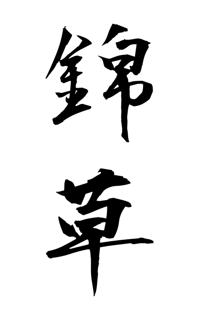 n20267錦草にしきぐさ Euphorbia humifusa