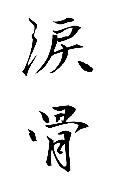 r30047涙骨るいこつ Lacrimal bone