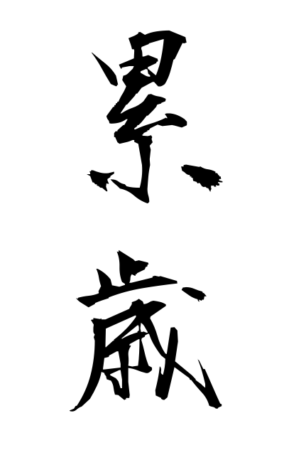 r30048累歳るいさい Successive years