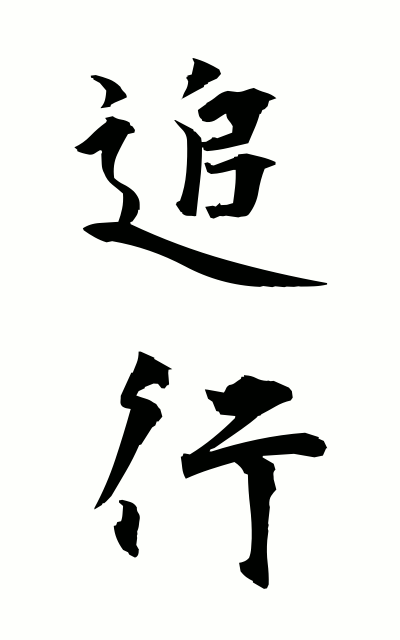 t30012追行ついこう pursuit