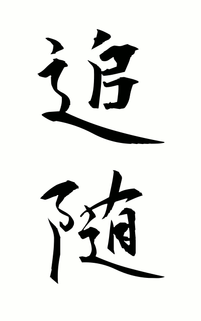 t30018追随ついずい Following
