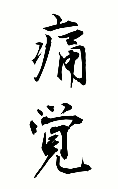 t30045痛覚つうかく Sense of pain