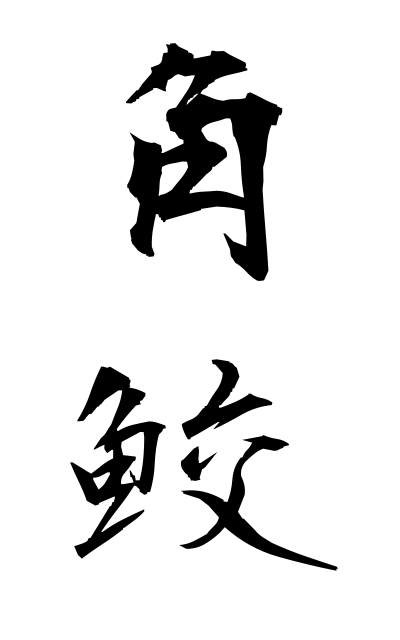 t30302角鮫つのざめ Corner shark