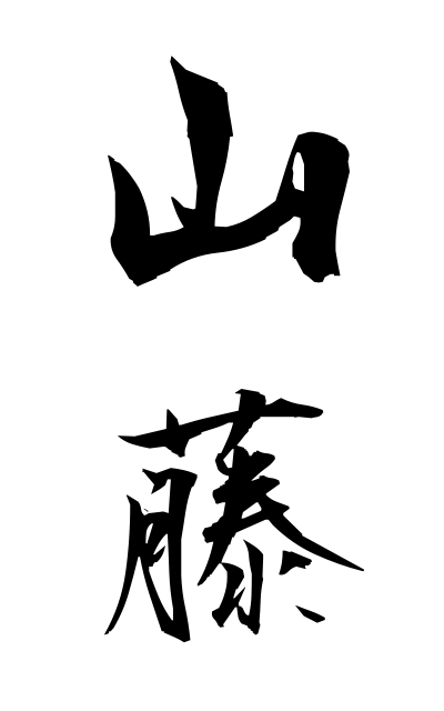 y10514山藤やまふじ Santo