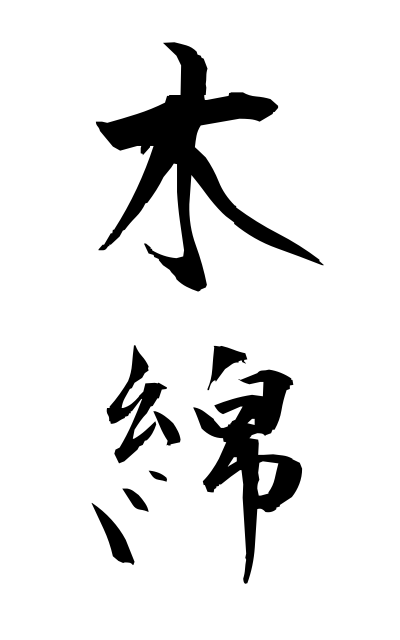 y30210木綿ゆう Cotton