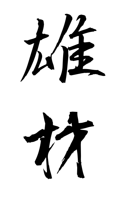 y30261雄材ゆうさい Excellent ability