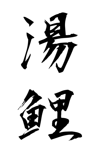 y30453湯鯉ゆごい Hot water carp