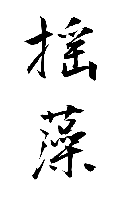 y30554揺藻ゆれも Plant of the genus Oscillatoria