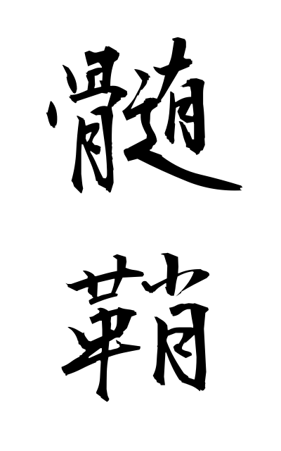 z30057髄鞘ずいしょう Myelin sheath