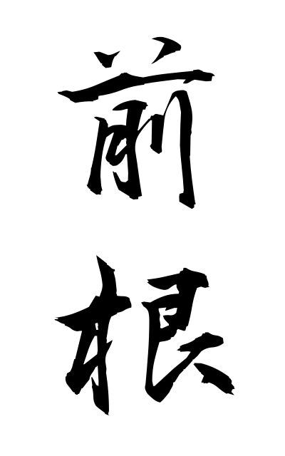 z40305前根ぜんこん Ventral root