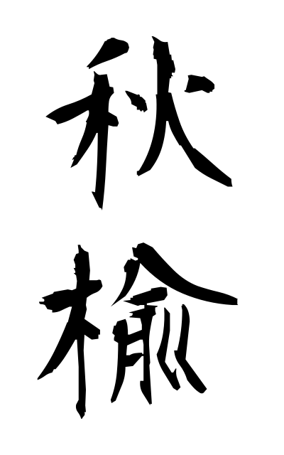 a10574秋楡あきにれ Ulmus parvifolia