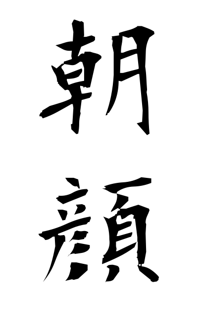 a10655朝顔あさがお Morning glory