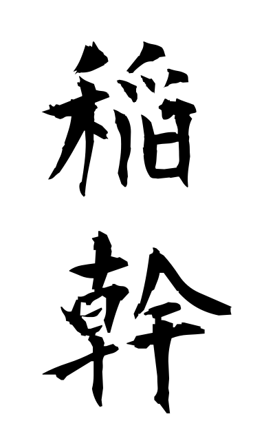 a21039稲幹いながら Rice plant before thresh