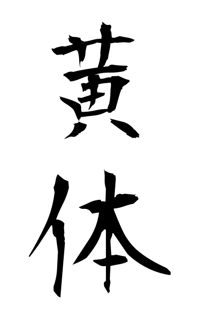 a50380黄体おうたい Corpus luteum