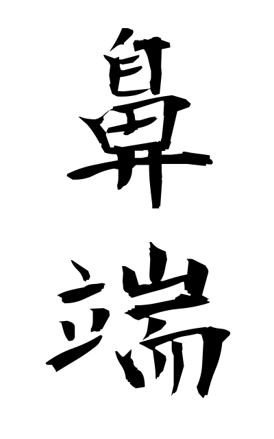 b20163鼻端びたん The tip of the nose