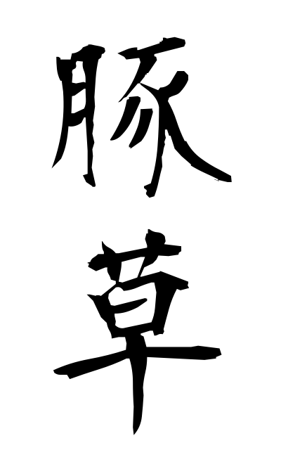 b30156豚草ぶたくさ Ragweed