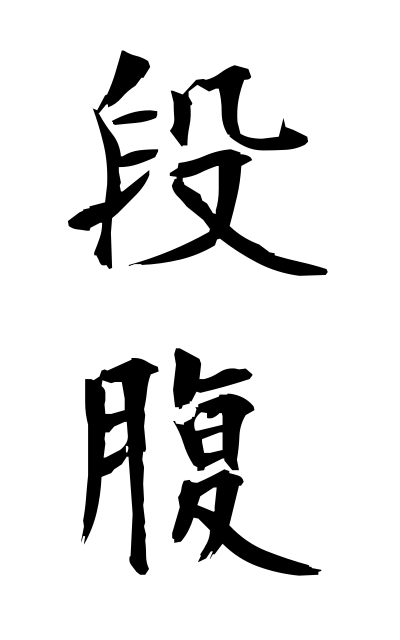 d10428段腹だんばら Step stomach