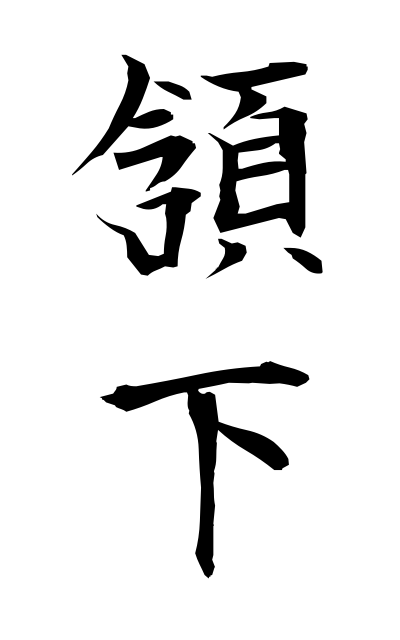 g10554頷下がんか Chin bottom