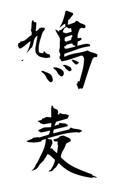 h10998鳩麦はとむぎ Tear grass