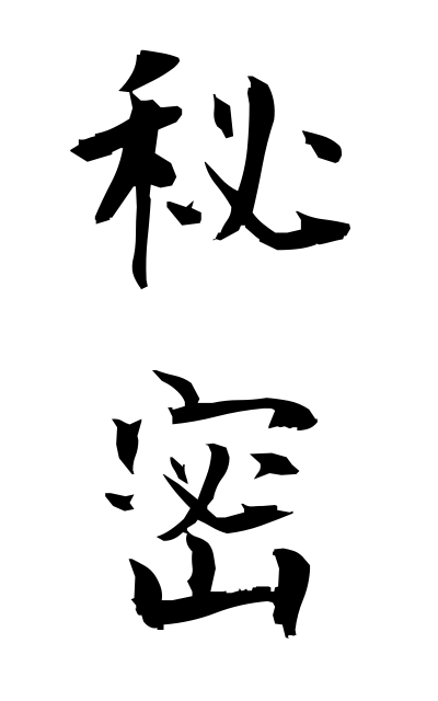 h20167秘密ひみつ Secret