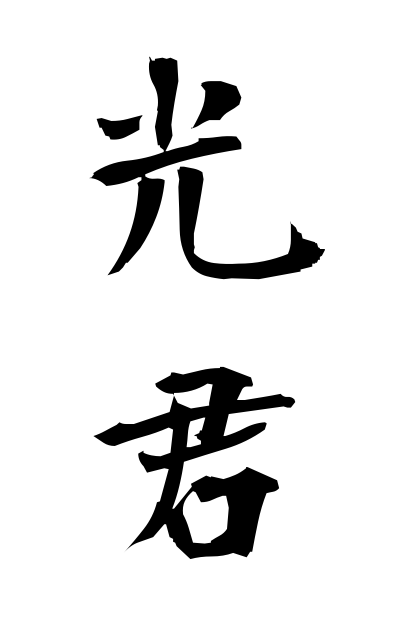 h20338光君ひかるきみ Light you