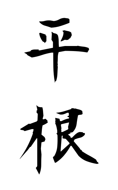 h20862平根ひらね Flat root