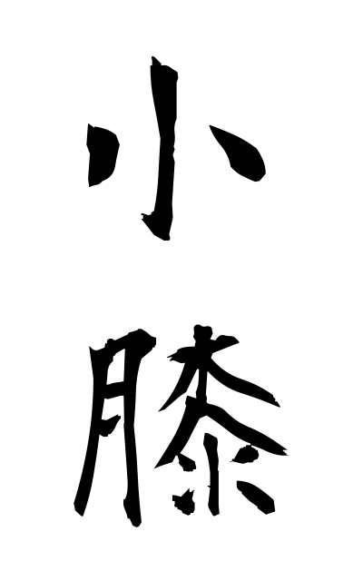 k52129小膝こひざ Knee
