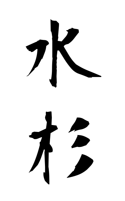 m20253水杉みずすぎ Water cedar