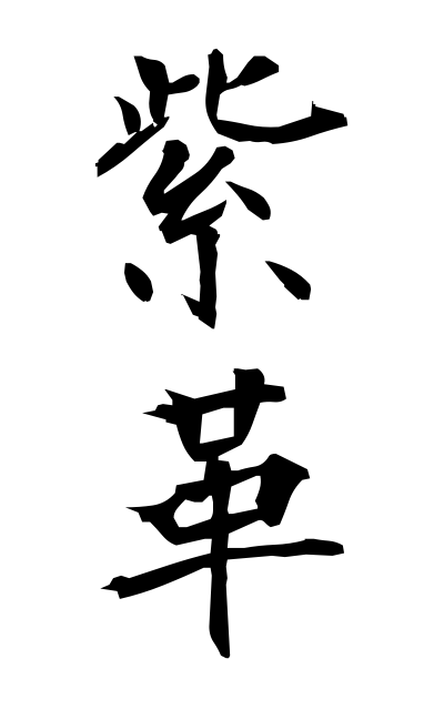 m30259紫革むらさきがわ Purple leather