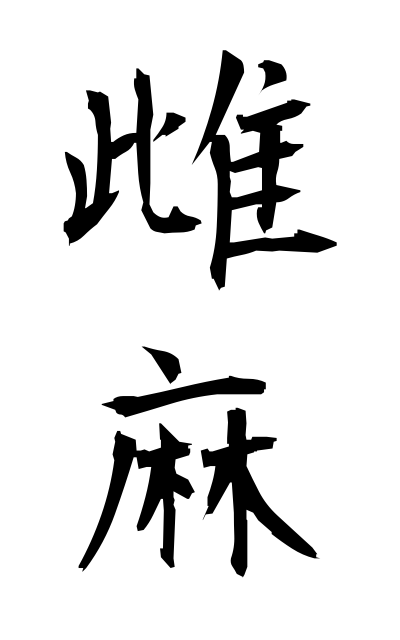 m40133雌麻めあさ Female hemp